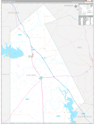 Live Oak County, TX Wall Map Premium Style 2024